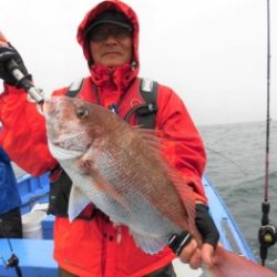 鯛紅丸 釣果