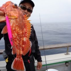 鯛紅丸 釣果