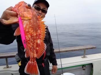鯛紅丸 釣果