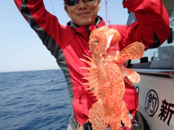 鯛紅丸 釣果