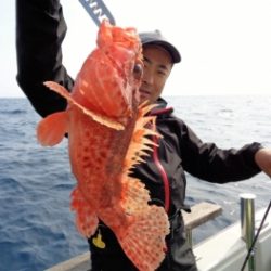 鯛紅丸 釣果