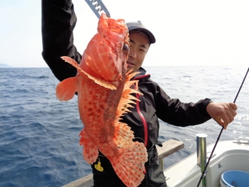 鯛紅丸 釣果