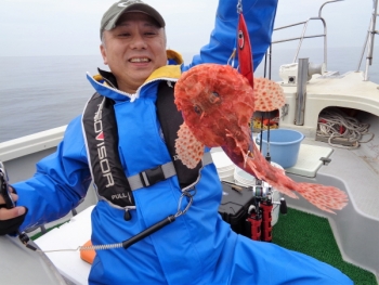 鯛紅丸 釣果