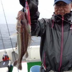 鯛紅丸 釣果
