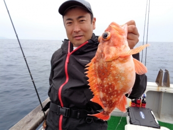 鯛紅丸 釣果