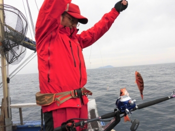 鯛紅丸 釣果
