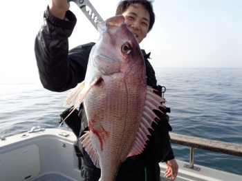 鯛紅丸 釣果