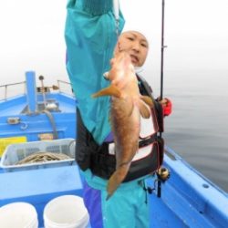 鯛紅丸 釣果