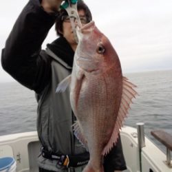 鯛紅丸 釣果