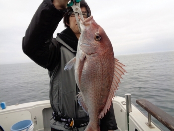 鯛紅丸 釣果