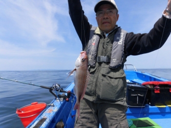鯛紅丸 釣果