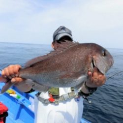 鯛紅丸 釣果