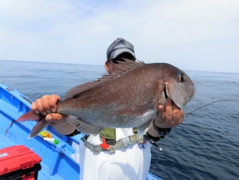 鯛紅丸 釣果
