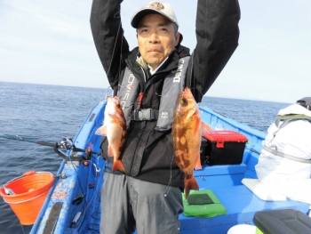 鯛紅丸 釣果