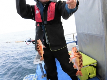 鯛紅丸 釣果