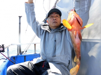 鯛紅丸 釣果