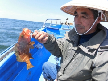 鯛紅丸 釣果
