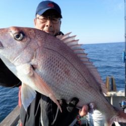 鯛紅丸 釣果