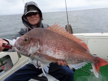 鯛紅丸 釣果