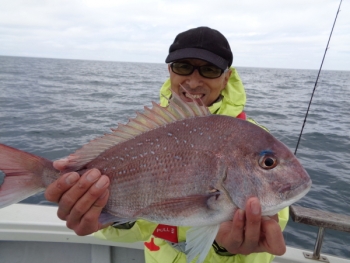 鯛紅丸 釣果