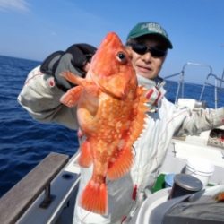 鯛紅丸 釣果