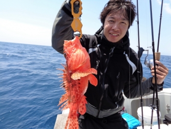 鯛紅丸 釣果