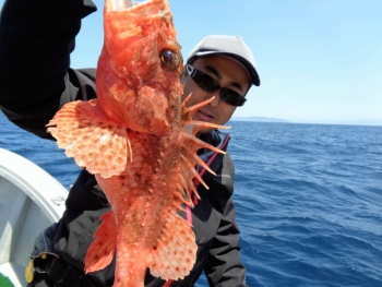 鯛紅丸 釣果
