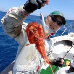 鯛紅丸 釣果