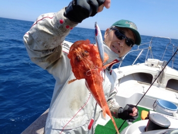 鯛紅丸 釣果