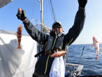 鯛紅丸 釣果