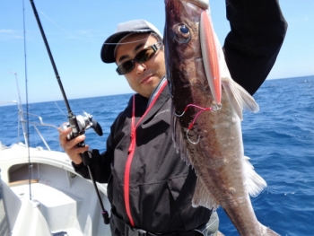 鯛紅丸 釣果