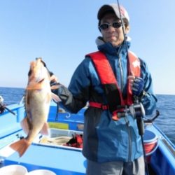 鯛紅丸 釣果