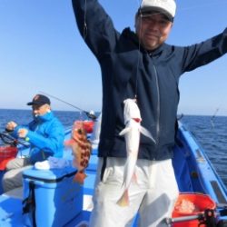 鯛紅丸 釣果