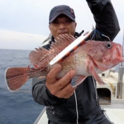鯛紅丸 釣果