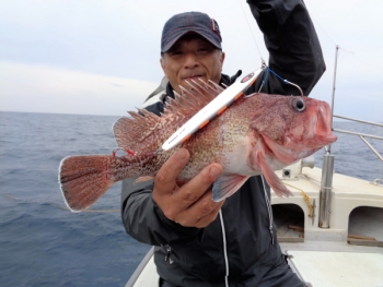 鯛紅丸 釣果