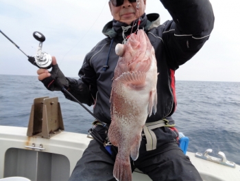 鯛紅丸 釣果