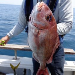 鯛紅丸 釣果