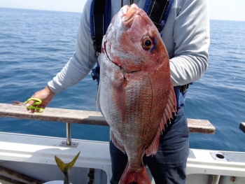 鯛紅丸 釣果