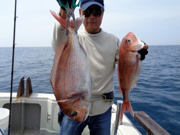 鯛紅丸 釣果