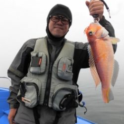 鯛紅丸 釣果