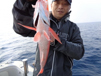 鯛紅丸 釣果