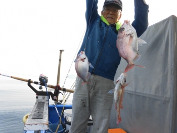 鯛紅丸 釣果