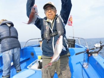 鯛紅丸 釣果
