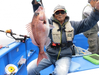 鯛紅丸 釣果