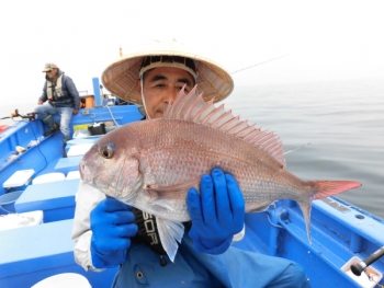 鯛紅丸 釣果