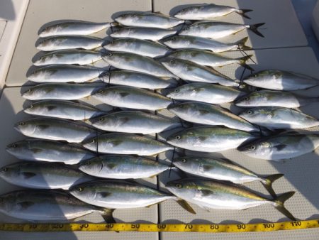 Hit Rush(ヒット ラッシュ） 釣果…