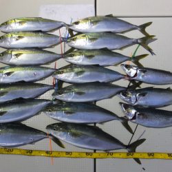 Hit Rush(ヒット ラッシュ） 釣果