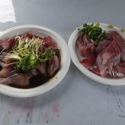 Hit Rush(ヒット ラッシュ) 釣果