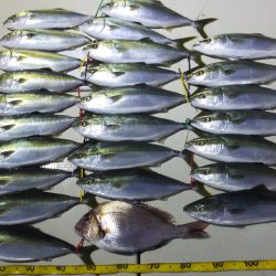 Hit Rush(ヒット ラッシュ） 釣果