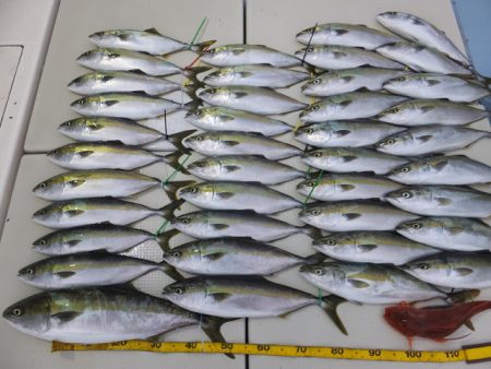 Hit Rush(ヒット ラッシュ） 釣果…